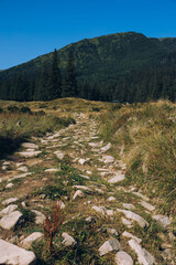 Hala Gasienicowa in Carpathian Mountains, Poland. Sunny day at fall season.