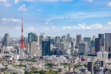 太陽の光が綺麗な東京の高層ビル群