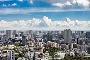 太陽の光が綺麗な東京の高層ビル群