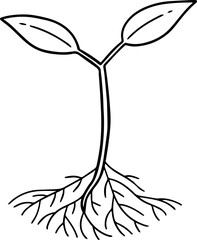 cartoon tree with root illustration.