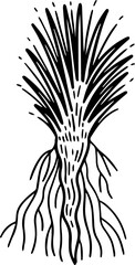 cartoon tree with root illustration.