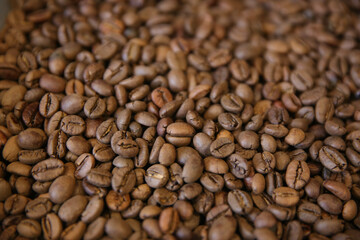 Coffee beans. Coffee beans are spread out on the surface.