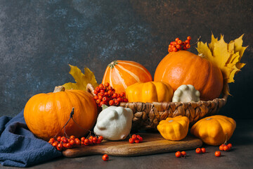 Autumn composition for Thanksgiving Day, still life background with empty copy space. Pumpkin harvest in basket, vegetables, patissons, autumn leaves, red berries on wooden table. Fall design.