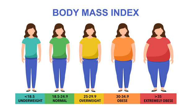 Body mass index vector illustration from underweight to extremely obese. Woman with different obesity degrees. Female body with different weight.