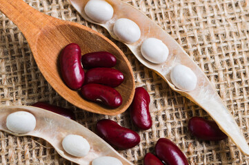 Spoon with raw organic white and red beans and pod on the table and burlap sack, ingridient for healthy and nourishing legume cuisine