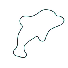 dolphin icon silhoutte sign cartoon