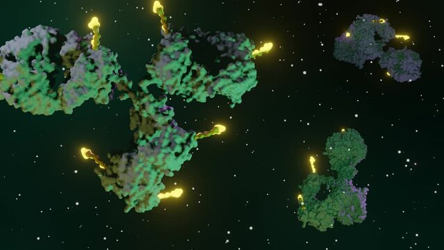 Antibody drug conjugates (ADCs) biosensors and nanodrug that deliver chemotherapy agents to cancer cells 3d rendering