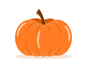 Ripe orange pumpkin isolated on white background. Flat vector illustration