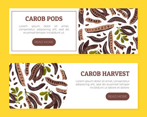 Carob Plant Pod Banner Design with Eco Crop Vector Template