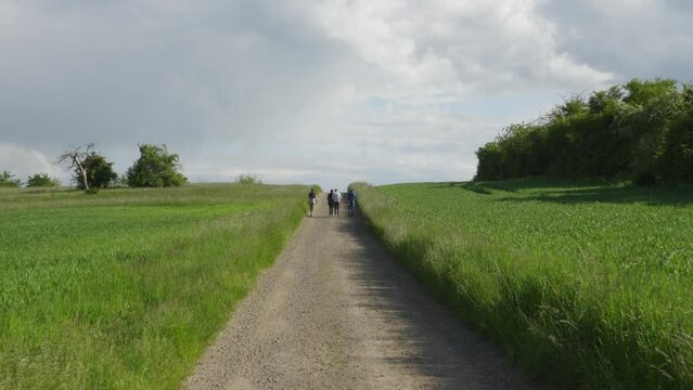 Group of people walking on a dirt parth through grass fields on a sunny day. 