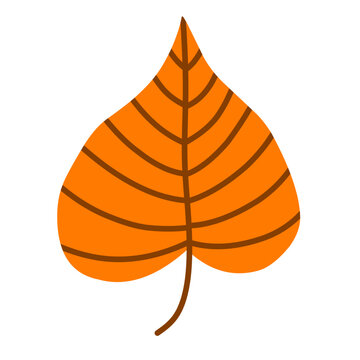 black pollar leaf vector illustration