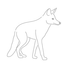 Obraz premium Sketch drawing of a Jackal isolated on a white background. Vector editable stroke.