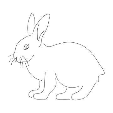 Sketch drawing of a Rabbit isolated on a white background. Vector editable stroke.