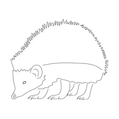Hand-drawn Hedgehog. Vector editable stroke.