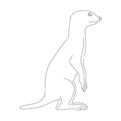 Sketch drawing of a Meerkat isolated on a white background. Vector editable stroke.