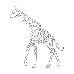 Hand-drawn Giraffe. Vector editable stroke.