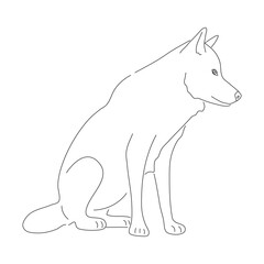 Sketch drawing of a Wolf isolated on a white background. Vector editable stroke.