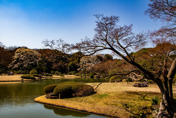 Fototapeta premium A view of Rikugien Garden or Rikugi-en Gardens, Beautiful Japanese style landscape garden in spring, Tokyo metropolitan park