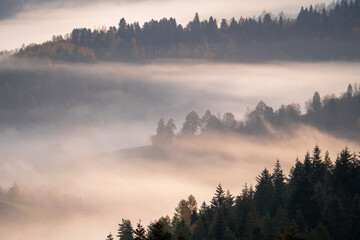 Foggy Morning in a Mountain Landscape
