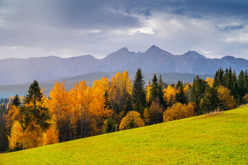 Autumn Mountain Landscape with Lush Green Hillside