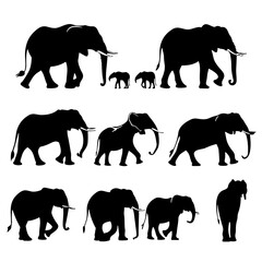set of elephants silhouettes