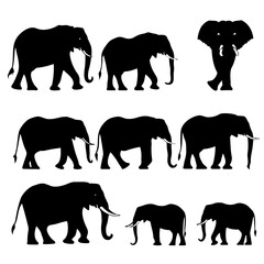 set of elephants silhouettes