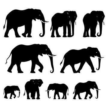 elephants silhouettes vector