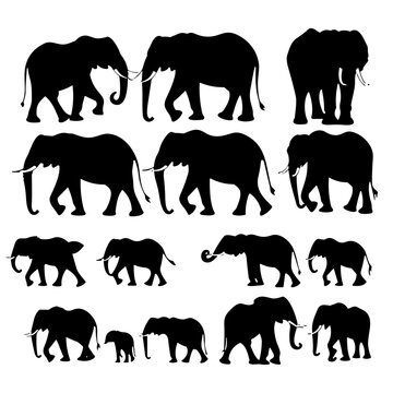 set of elephants silhouettes
