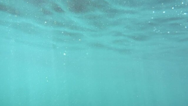 Slow-motion underwater view of ocean life with sun rays filtering through.