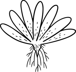 cartoon tree with root illustration.