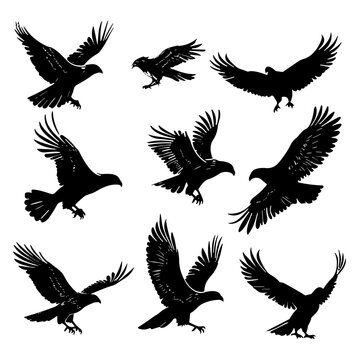 set of eagle