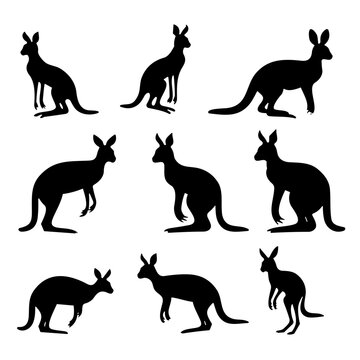kangaroo silhouettes vector