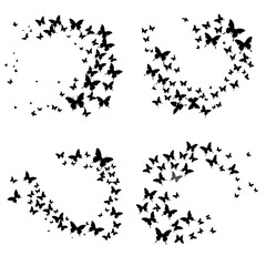 Flock of Butterflies