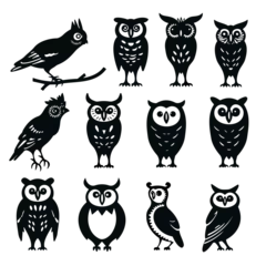 Papier Peint photo autocollant Dessins animés de hibou Owl Silhouette and Flying Owl T shirt Designs