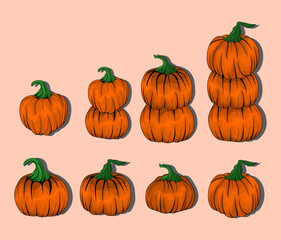 Set of Pumpkin Squash Illustration.