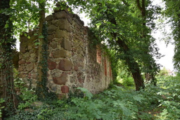 Ruiny kościoła Smolęcin powiat policki