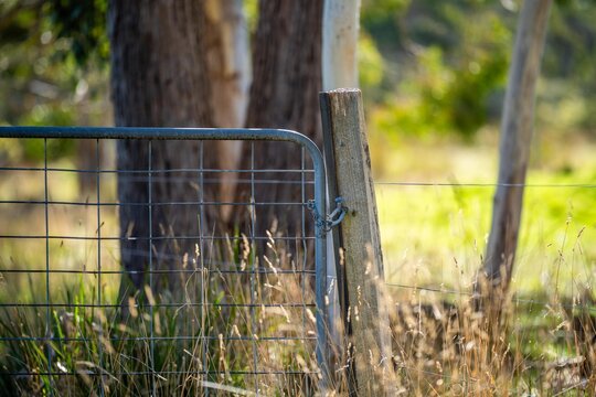 Shut farm gate in a field on a livestock farm. Wooden post and metal gate - Powered by Adobe