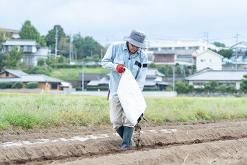 畑に肥料を撒く男性
