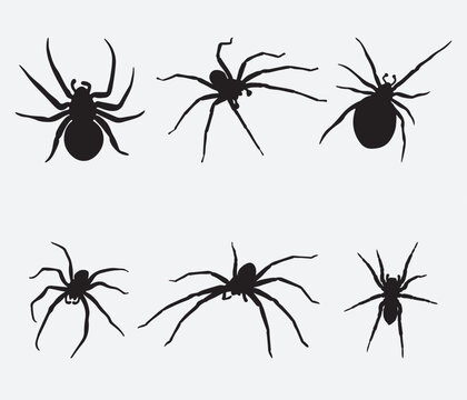 Set of black silhouette spider icon isolated on white background