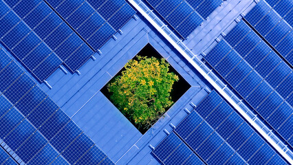 solar panels structure on the factory metal roof structure and the tree in the middle. renewable...
