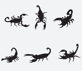 Set of Scorpion Silhouette Vector Art on White Background - obrazy, fototapety, plakaty