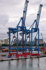 Transtainers at the container terminal