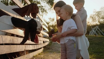 A little boy and his mother feed the goats carrots and are sincerely happy about this, laughing and pointing at the animals with their hands. Happy childhood moments, farm in the village.