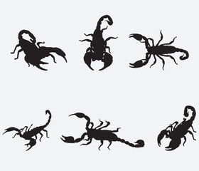 Set of Scorpion Silhouette Vector Art on White Background