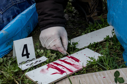 Policjant pobiera materiał DNA z zakrwawionej kafelki leżącej w trawie. Widać policyjne znaczniki