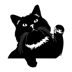 Cat.Funny peeking pets. Vector illustration on white background.black and white cat