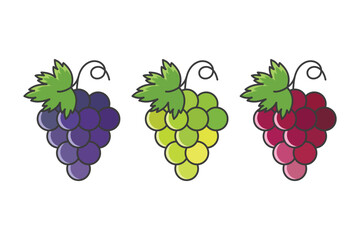 Grape icon vector illustration. Bunch on isolated background. Vine sign concept.