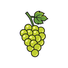 Grape icon vector illustration. Bunch on isolated background. Vine sign concept.