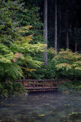 Namonaki Pond or Monet Pond crystal clear pond during summer evening at Gifu , Japan : 30 August...