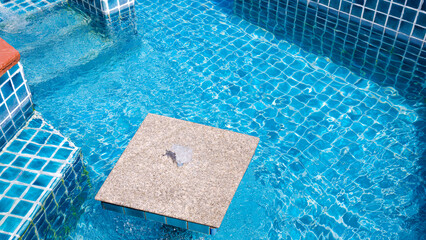 Marble countertop and fountain with seat in modern blue swimming pool of luxury resort, high angle...